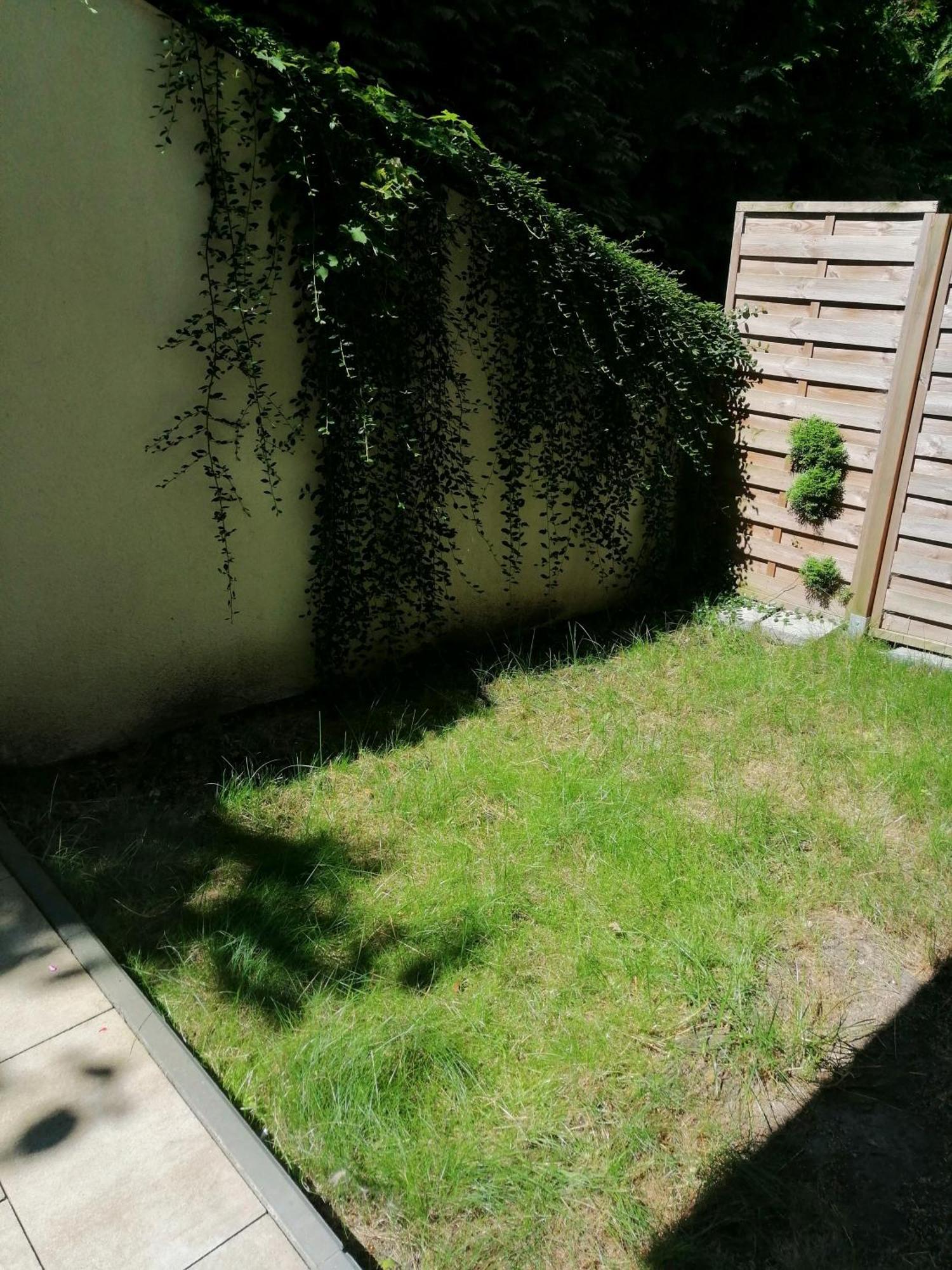 Apartament Jasne Blonia Stettin Exterior foto